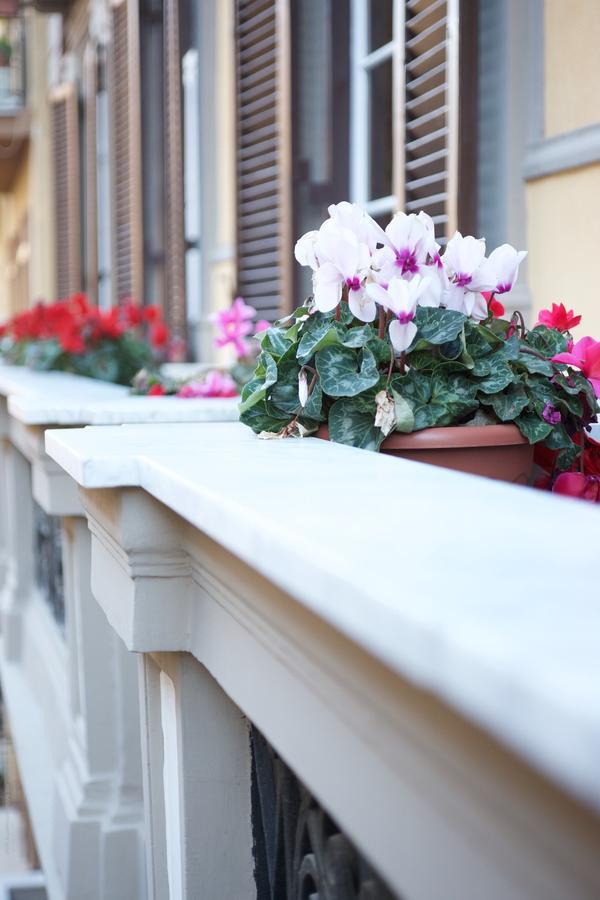 Duomo Bed and breakfast 3*